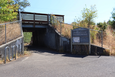 Option 1 – underpass below Springwater Corridor Trail – bike racks